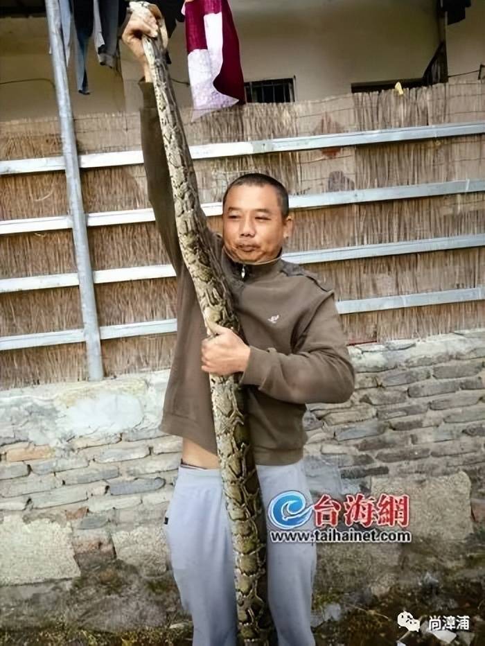 女游客疑被蛇咬伤身亡后<strong></p>
<p>币安交易平台网站</strong>，博主“啊宝”讲毒蛇1天涨粉190万