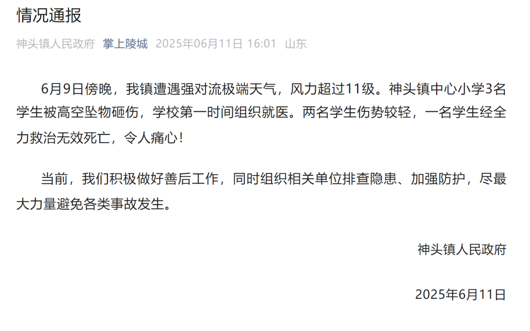 山东德州通报“小学楼顶光伏板掉落砸中多名学生”：3名学生被砸伤<strong></p>
<p>bzcash交易平台</strong>，1名学生经全力救治无效死亡