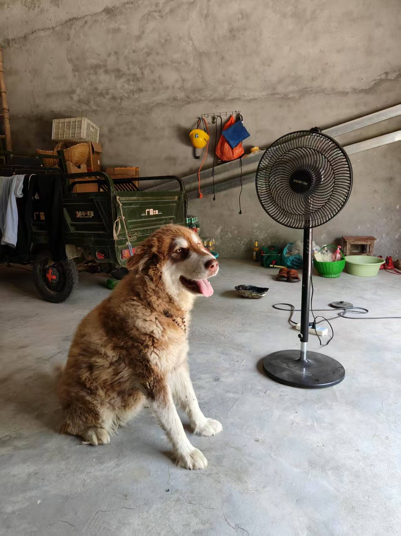 00后女孩醉驾时速174公里撞死3人<strong></p>
<p>深圳币交所交易平台</strong>,逝者母亲:我每天都活在痛苦中