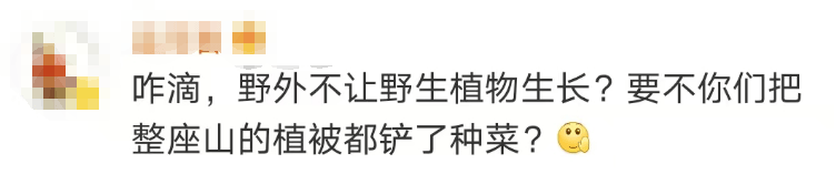 大片连根铲除！深圳一公园“火速响应”引质疑<strong></p>
<p>全球货币交易平台</strong>，网友为它喊冤