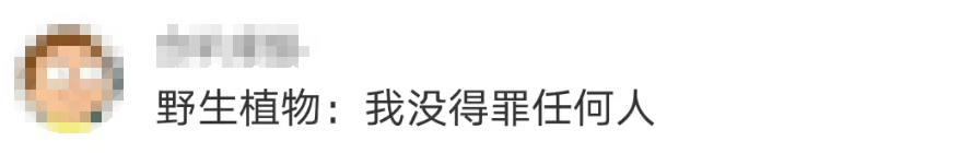 大片连根铲除！深圳一公园“火速响应”引质疑<strong></p>
<p>全球货币交易平台</strong>，网友为它喊冤