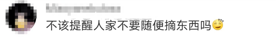 大片连根铲除！深圳一公园“火速响应”引质疑<strong></p>
<p>全球货币交易平台</strong>，网友为它喊冤