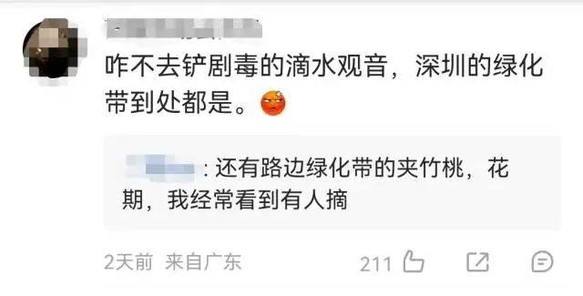 大片连根铲除！深圳一公园“火速响应”引质疑<strong></p>
<p>全球货币交易平台</strong>，网友为它喊冤