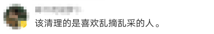 大片连根铲除！深圳一公园“火速响应”引质疑<strong></p>
<p>全球货币交易平台</strong>，网友为它喊冤