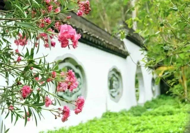 大片连根铲除！深圳一公园“火速响应”引质疑<strong></p>
<p>全球货币交易平台</strong>，网友为它喊冤