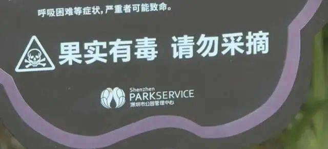 大片连根铲除！深圳一公园“火速响应”引质疑<strong></p>
<p>全球货币交易平台</strong>，网友为它喊冤