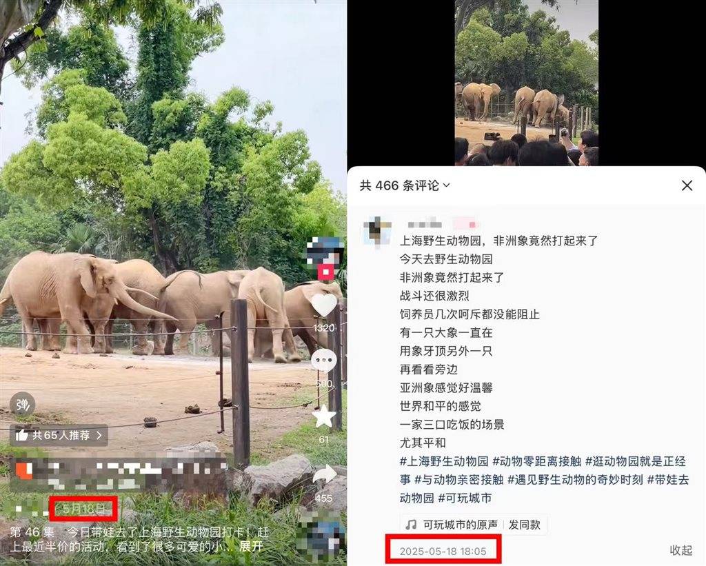 被攻击的母象丹妮未展出<strong></p>
<p>币安交易平台下载</strong>，为震慑作用设脉冲电网！记者实探上海野生动物园