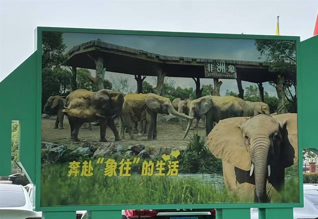 被攻击的母象丹妮未展出<strong></p>
<p>币安交易平台下载</strong>，为震慑作用设脉冲电网！记者实探上海野生动物园