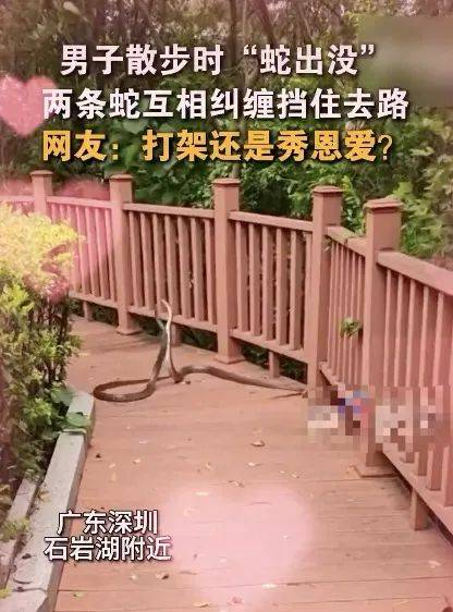 惊恐！毒蛇缠在自行车上<strong></p>
<p>bibox交易平台</strong>，深圳13岁男孩伸手被咬！近期超80人中招