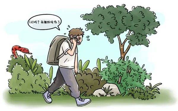 惊恐！毒蛇缠在自行车上<strong></p>
<p>bibox交易平台</strong>，深圳13岁男孩伸手被咬！近期超80人中招