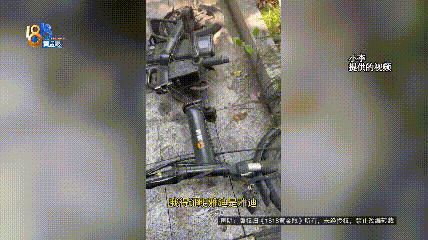 骑大牌电动车断成两截<strong></p>
<p>网络虚拟交易平台</strong>，结果还被厂商举报了？当事人：就跟老母猪上树一样