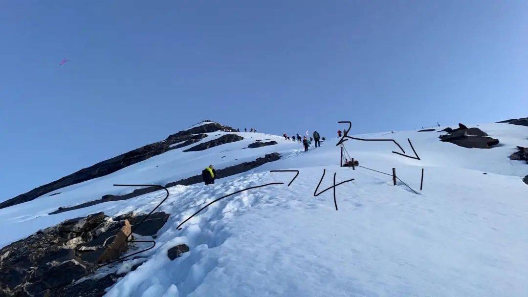 16岁男孩确认身亡！目击者：他头朝下滑坠太快<strong></p>
<p>网络虚拟交易平台</strong>，向导没拉住