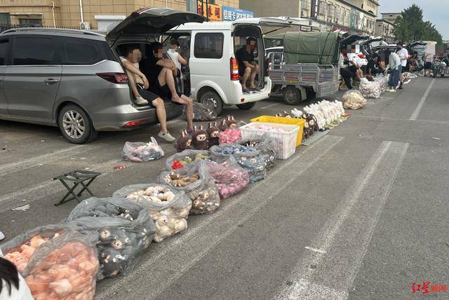 实探衡水盗版LABUBU大集：像卖菜一样摆摊卖<strong></p>
<p>网络虚拟交易平台</strong>，商家称如今订单变少生意难做