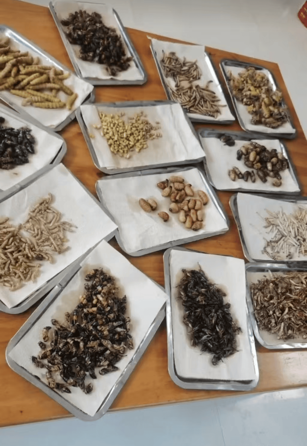 山东临沂通报“蛤蟆汤”饭店被拟罚45万：撤销处罚<strong></p>
<p>bitmex交易平台app</strong>，5人停职