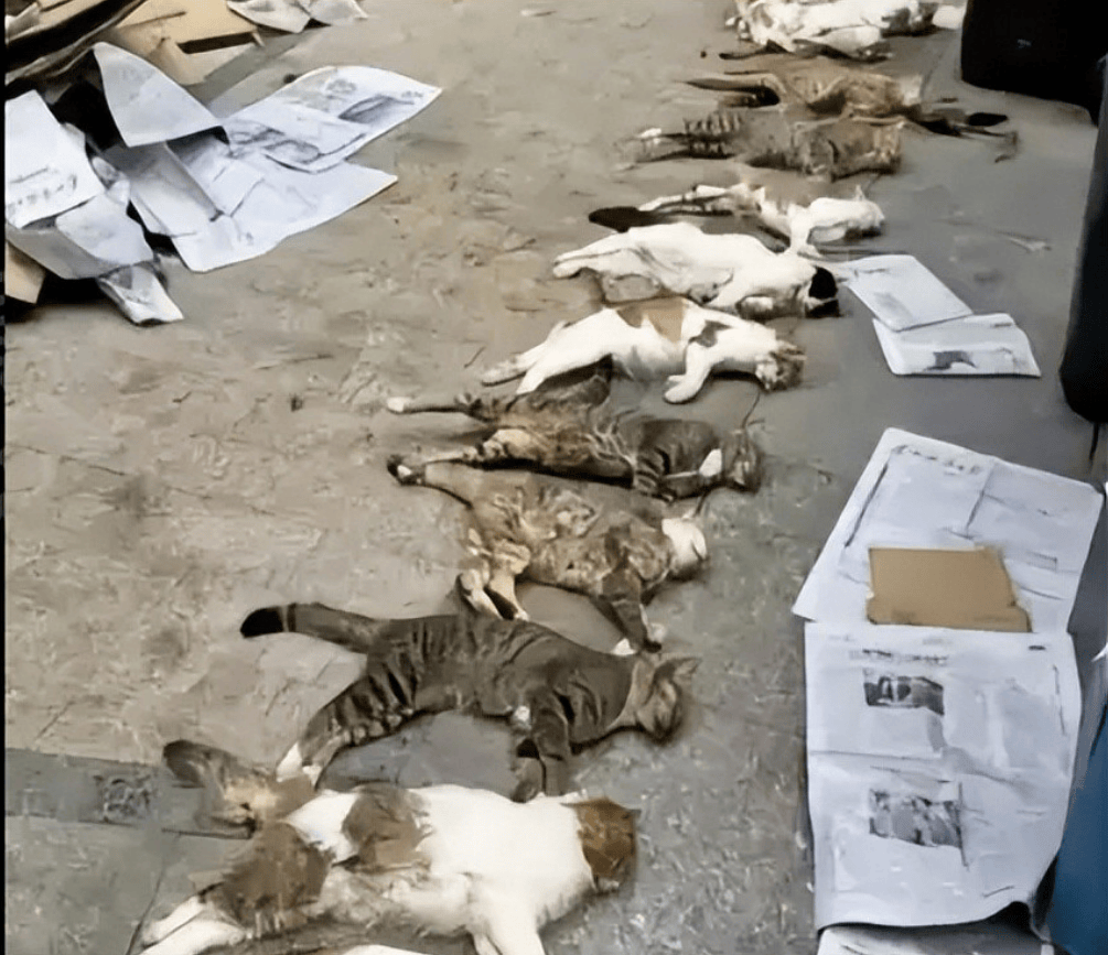 桂林编制考试刷掉第一名：别等社会淘汰你的孩子<strong></p>
<p>币海平台</strong>，才后悔没教他