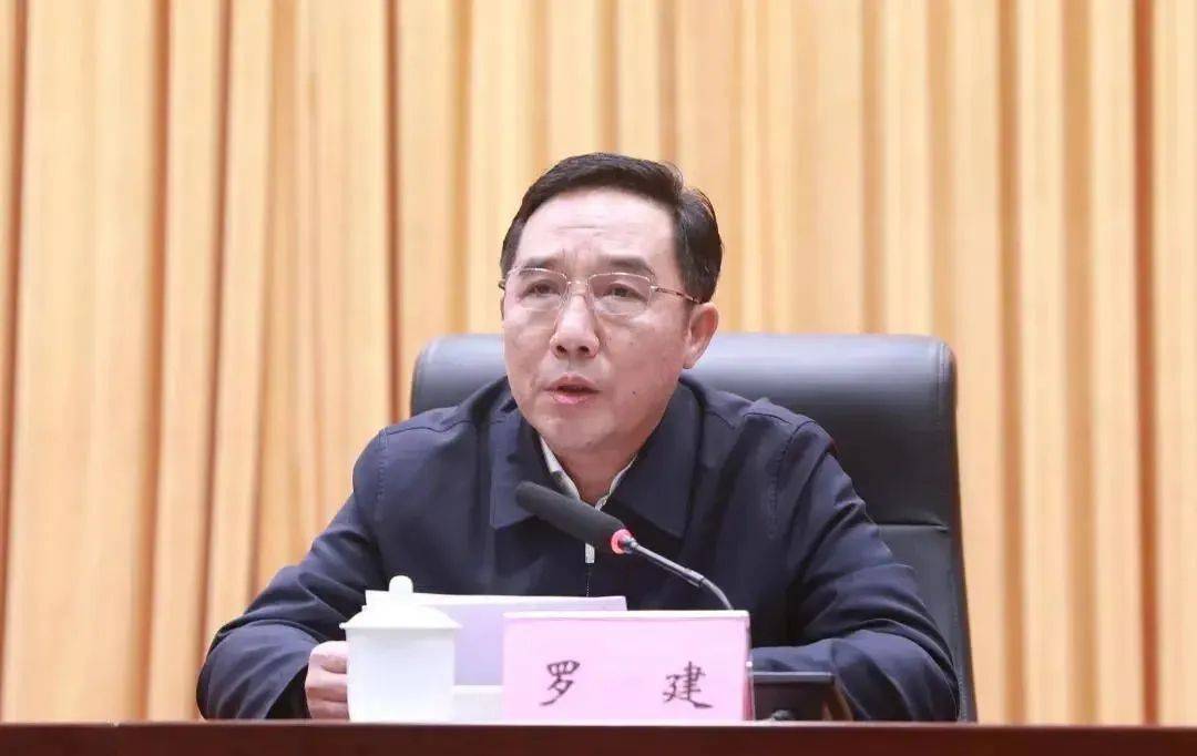 涉嫌严重违纪违法<strong></p>
<p>元币</strong>，罗建被查