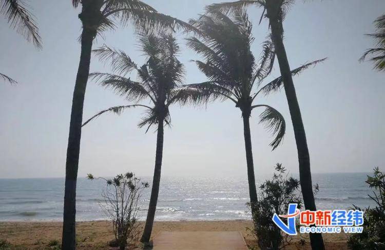 海南全岛封关时间定了<strong></p>
<p>送币</strong>！啥是封关？与你有啥关系？