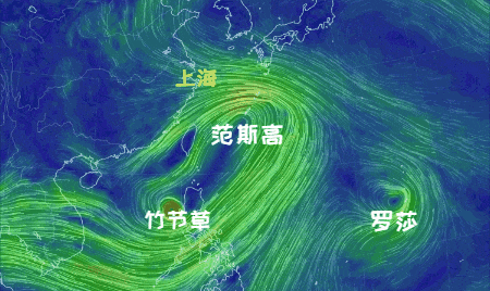 大风+大雨<strong></p>
<p>猎币网</strong>，上海今起受台风影响！一活动紧急取消！这几个区的雨更大