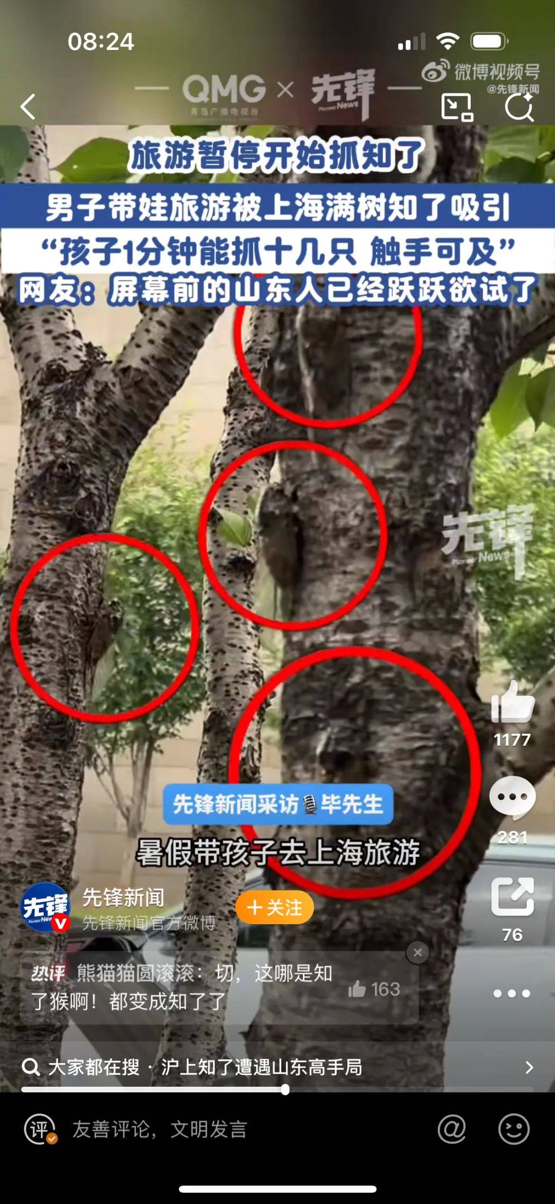 山东父子在上海抓知了降维打击<strong></p>
<p>抄币吧</strong>，“孩子一分钟徒手抓了十几只”