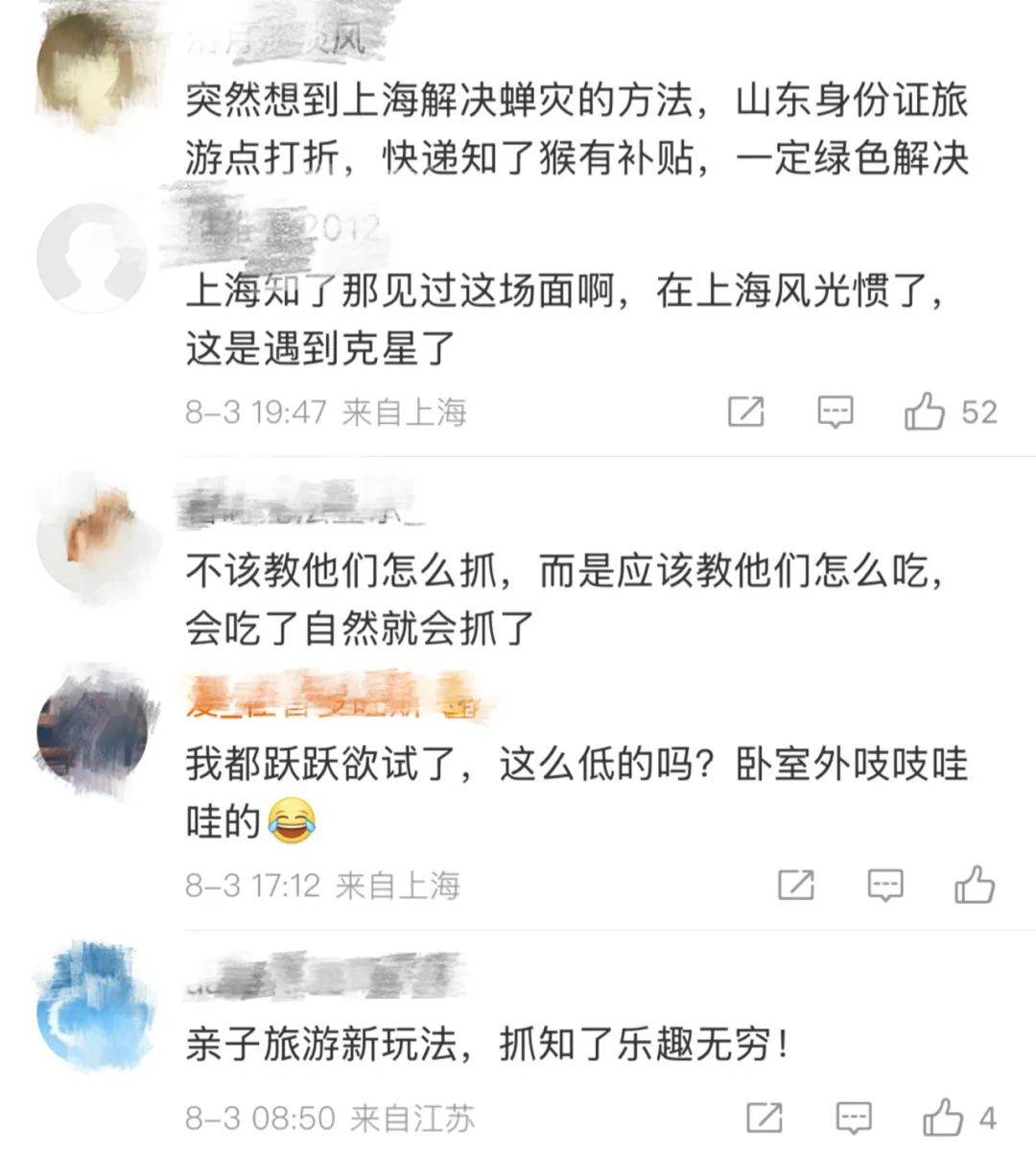 山东父子在上海抓知了降维打击<strong></p>
<p>抄币吧</strong>，“孩子一分钟徒手抓了十几只”