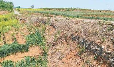 河南一地村民反映煤渣倾倒耕地多年难恢复<strong></p>
<p>抄币吧</strong>，最新进展：当地19人被处分、处理