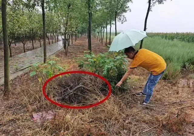 山西女教师新婚8个月遇害！警方掘坟提取DNA<strong></p>
<p>抄币吧</strong>，丈夫被判无罪后再受审