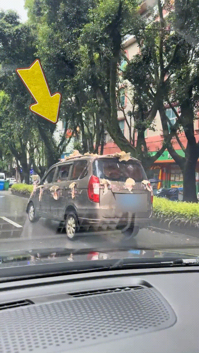 男子驾驶“鸡枞战车”满街跑<strong></p>
<p>抄币吧</strong>，交警紧急叫停！