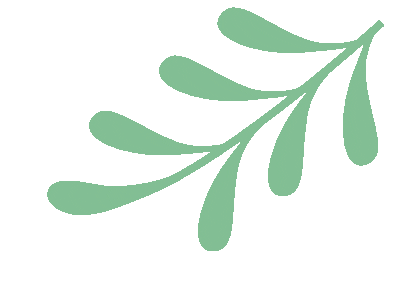 保定交警提醒：未满16周岁不得驾驶电动自行车<strong></p>
<p>法币网</strong>！