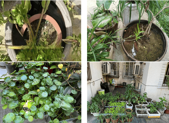 南京疾控发布：致全市市民的倡议书<strong></p>
<p>法币网</strong>！