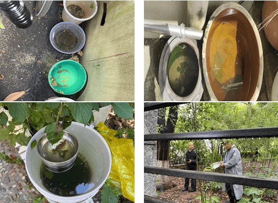 南京疾控发布：致全市市民的倡议书<strong></p>
<p>法币网</strong>！