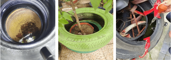 南京疾控发布：致全市市民的倡议书<strong></p>
<p>法币网</strong>！