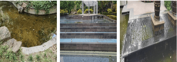 南京疾控发布：致全市市民的倡议书<strong></p>
<p>法币网</strong>！