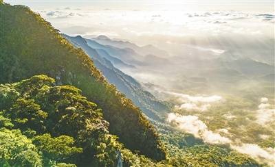 我国首批5个国家公园完成确权登记