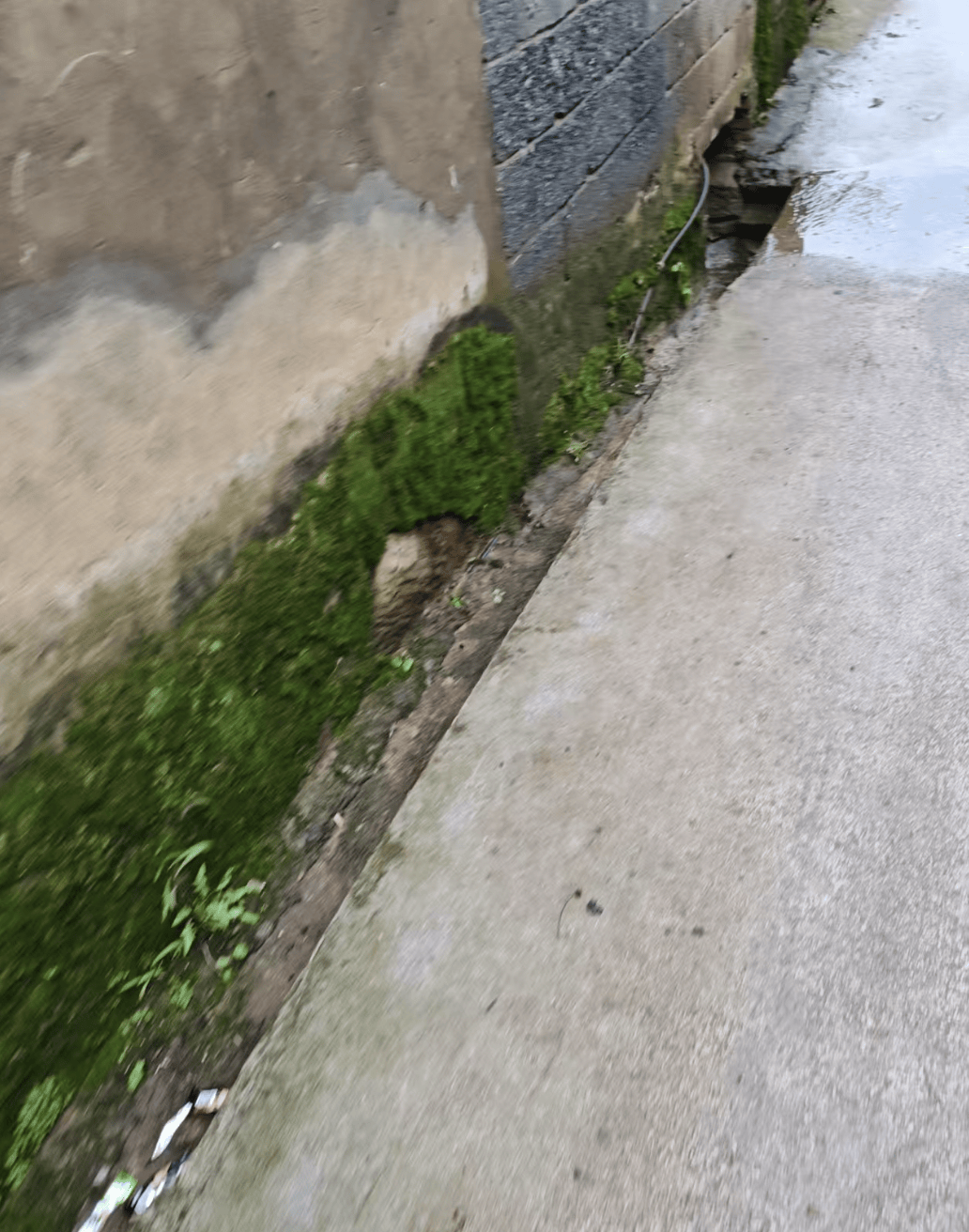 云南曲靖一女孩被同班男生送回家途中杀害<strong></p>
<p>诚币网</strong>，当地警方介入，家属发声