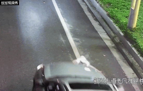 行人在斑马线上被SUV撞倒卷入车底<strong></p>
<p>诚币网</strong>，司机：我以为他们会让我……