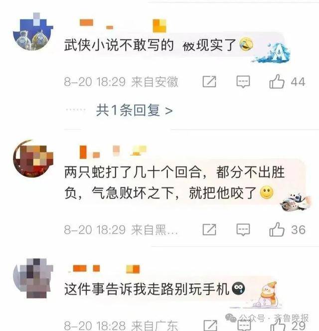 安徽宣城一男子走路玩手机<strong></p>
<p>应用币</strong>，一脚踩中打架的竹叶青和五步蛇，被俩毒蛇咬3口！医院：暂无生命危险，正在治疗