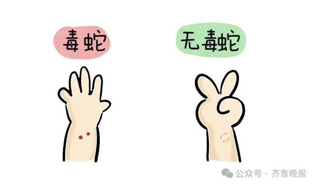 安徽宣城一男子走路玩手机<strong></p>
<p>应用币</strong>，一脚踩中打架的竹叶青和五步蛇，被俩毒蛇咬3口！医院：暂无生命危险，正在治疗