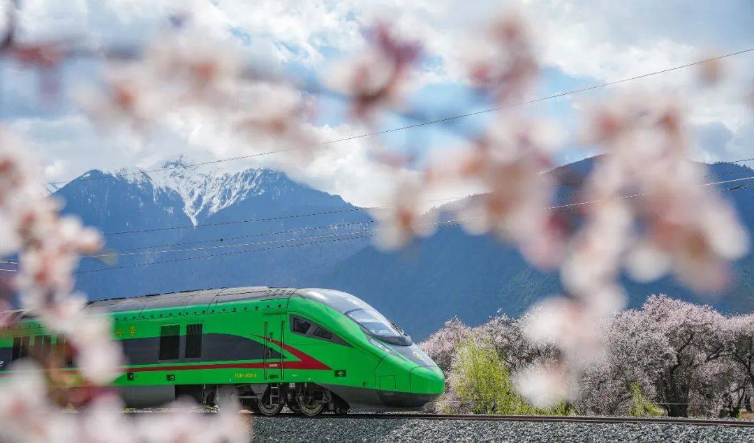 所以<strong></p>
<p>应用币</strong>，西藏！