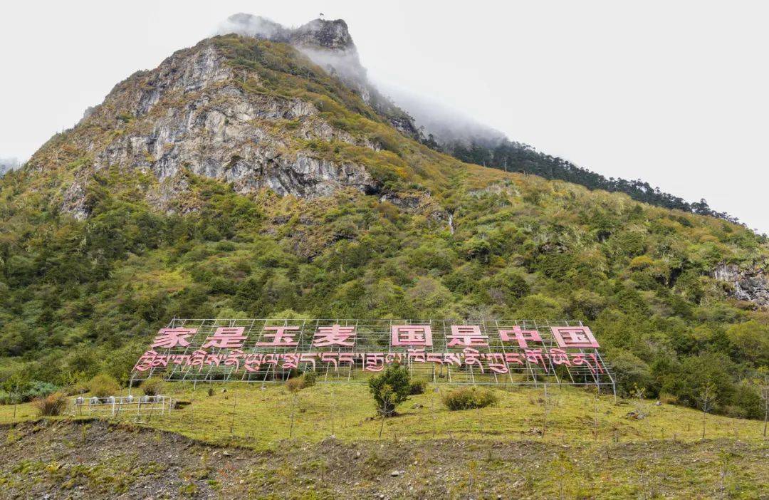 所以<strong></p>
<p>应用币</strong>，西藏！