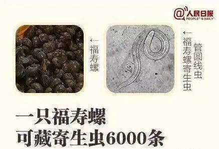 别吃！寄生虫多达6000条！浙江一地大量出现<strong></p>
<p>韩国币币</strong>，看到立刻上报