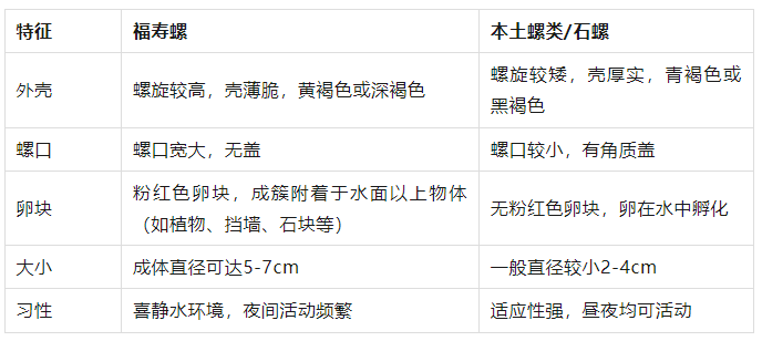 别吃！寄生虫多达6000条！浙江一地大量出现<strong></p>
<p>韩国币币</strong>，看到立刻上报