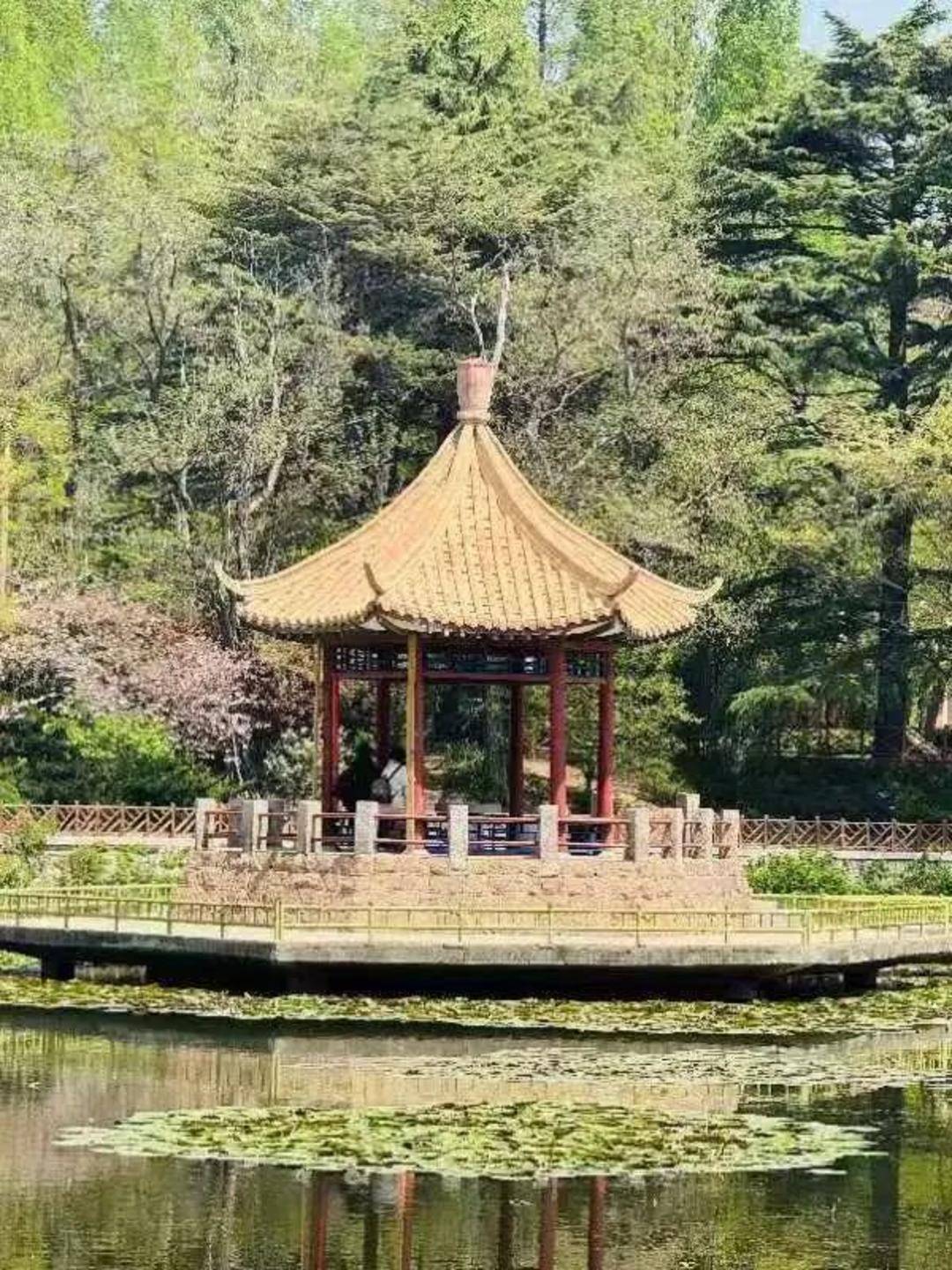 青岛中山公园一凉亭突然倒塌：一年前刚完成修缮<strong></p>
<p>蒲币</strong>，园方称无伤亡原因待查