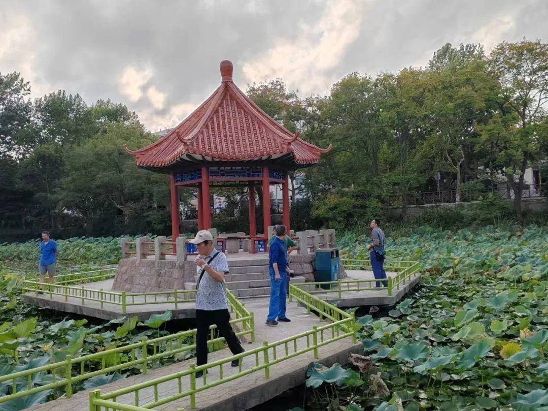 青岛中山公园一凉亭突然倒塌：一年前刚完成修缮<strong></p>
<p>蒲币</strong>，园方称无伤亡原因待查