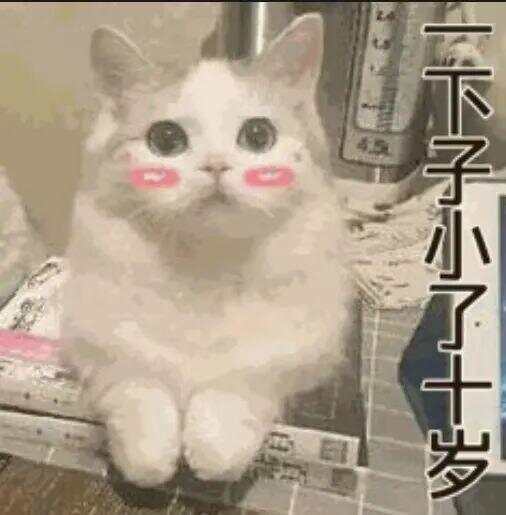 79岁老伯为见其相亲对象“翠花”<strong></p>
<p>蒲币</strong>，将身份证改小10岁 被发现后不忘叮嘱民警“能不能不告诉她”