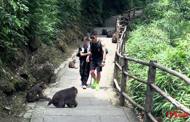 揭秘峨眉山陪爬团队：已陪爬千名游客九成为女性<strong></p>
<p>云币商城</strong>，不会主动拉背扛抱，主要保障安全