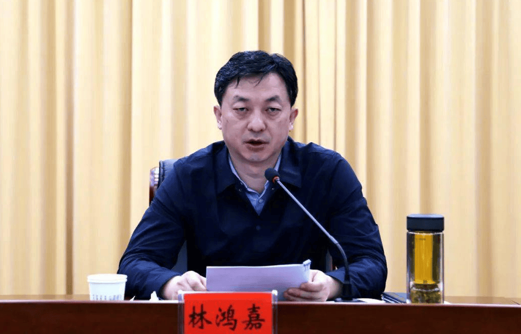 鹤壁市常务副市长林鸿嘉<strong></p>
<p>动力币</strong>，被罢免市人大代表职务