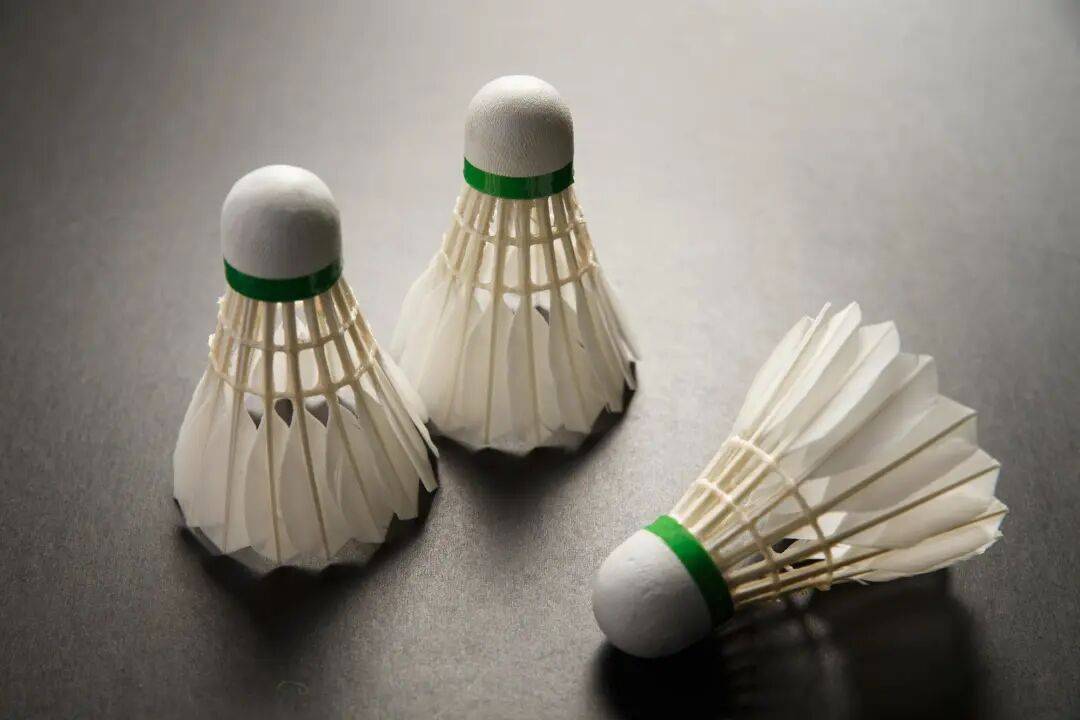 又双叒叕涨价了<strong></p>
<p>邮宝币</strong>！网友苦笑：买不起了……