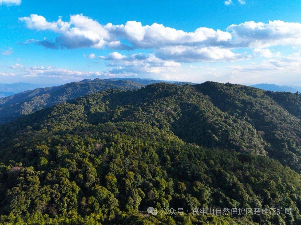 云南哀牢山新规出台：禁止任何单位和个人擅入哀牢山自然保护区<strong></p>
<p>邮宝币</strong>，从事科研活动须报批