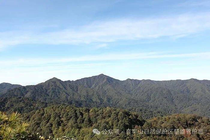 云南哀牢山新规出台：禁止任何单位和个人擅入哀牢山自然保护区<strong></p>
<p>邮宝币</strong>，从事科研活动须报批