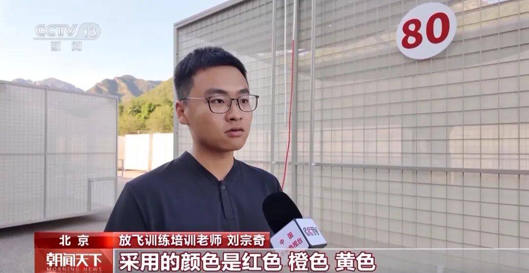 明天将放飞8万羽和平鸽、8万只气球<strong></p>
<p>邮宝币</strong>，揭秘！